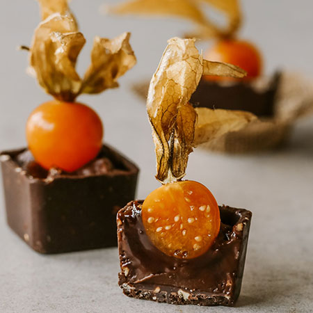 Vasinho Physalis